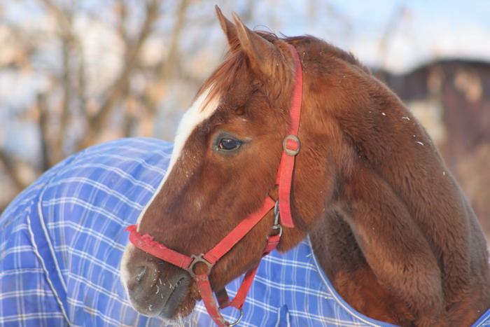 IMG_2127.jpg1.jpg"%20height="467"%20width="700